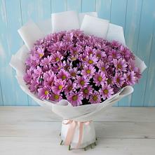 Букет цветов из:  Хризантемы в Грязовце