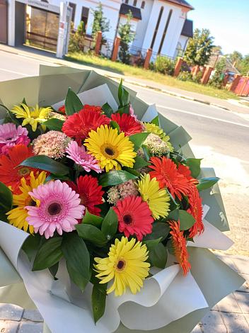 Букет цветов из: Герберы в Грязовце